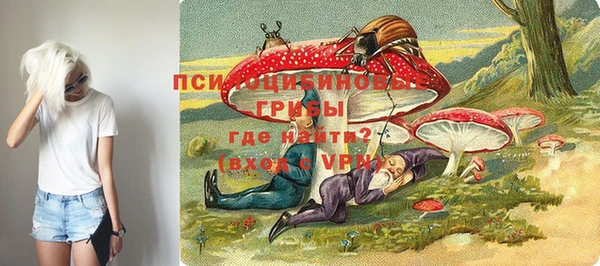 твердый Белокуриха