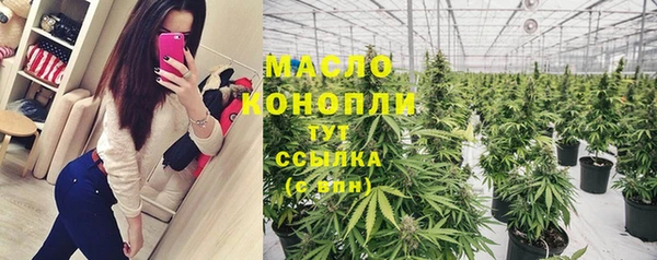 apvp Рославль