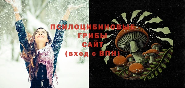 твердый Белокуриха