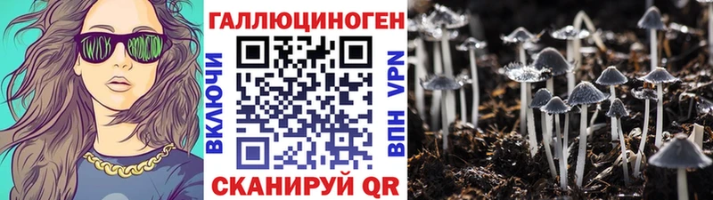 Псилоцибиновые грибы прущие грибы  Чёрмоз 